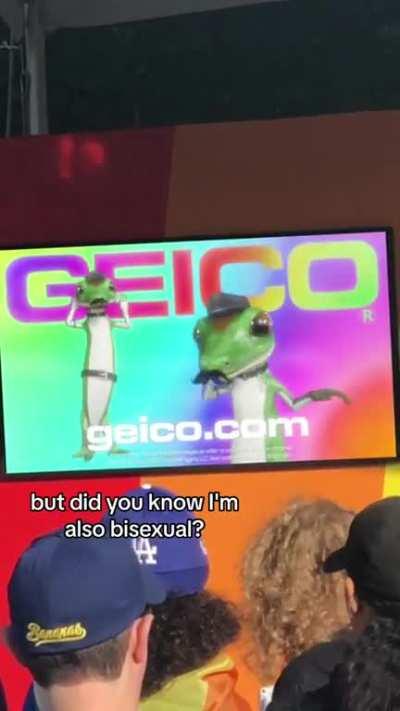 Geico Pride Advert goes hard this year