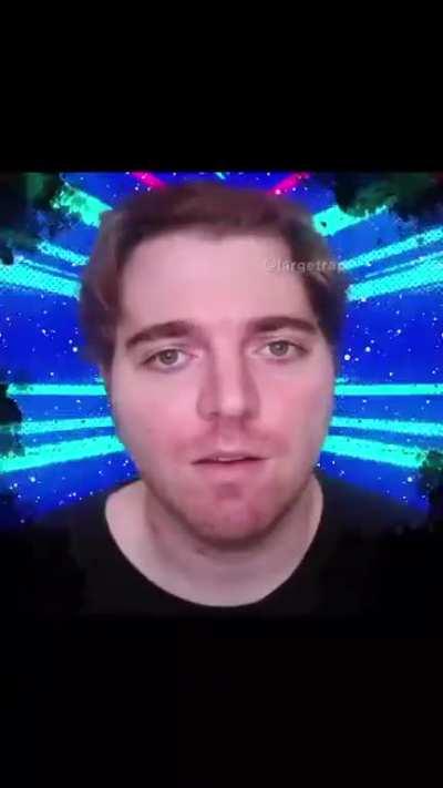 Holesome Pet Origin Story 