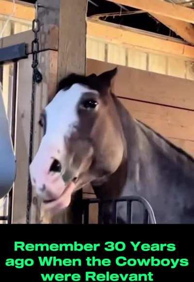 Here Come the Excuses and How good they were 30 years ago 