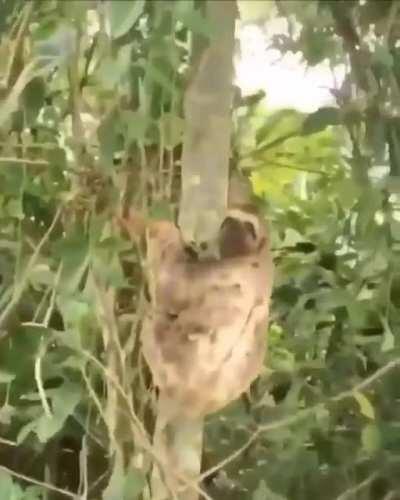 That was some meters for you ,but it was a mile for me. Thanks