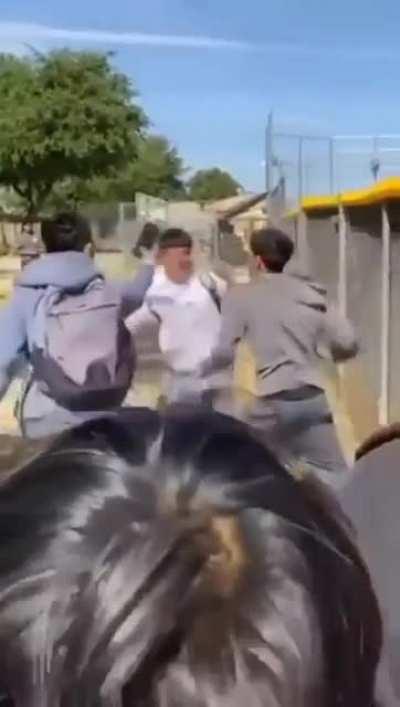 recent school fight