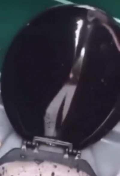 Walter jr goes to the bathroom