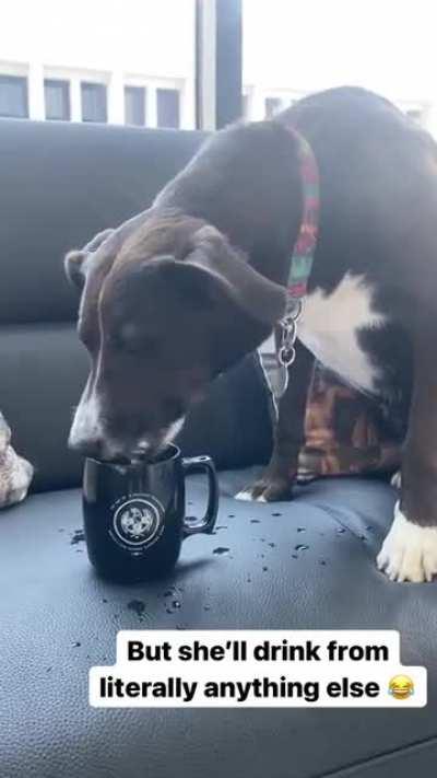 She’s not bougie just fun (if you know what the mug is I fw you)