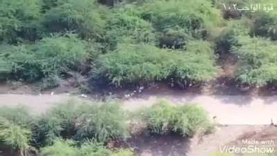 Saudi artillery strikes a group of Houthis after they crossed into the border area