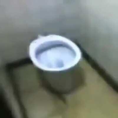 EL INODORO QUE HABLA.