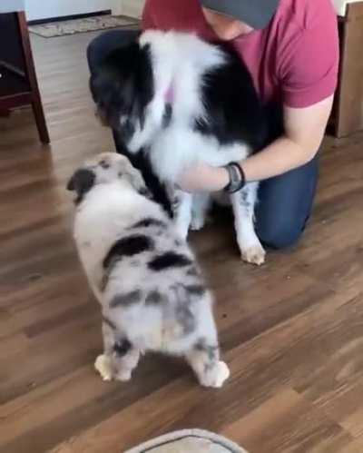 At the end says it all!