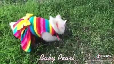 Baby Pearl throwback