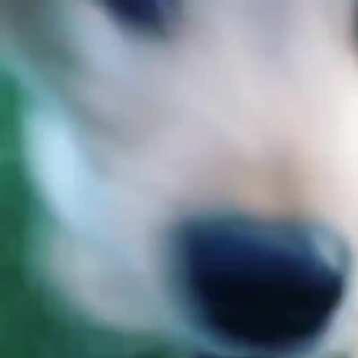 I guess this is what you call a golden shot