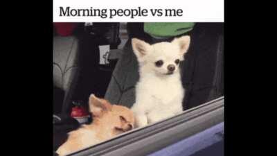I hate the morning