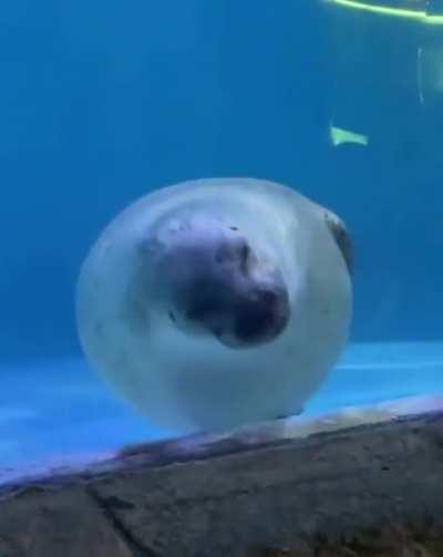 Sinking Unit