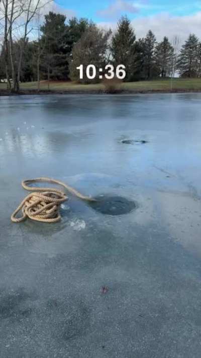 Had me in the first half