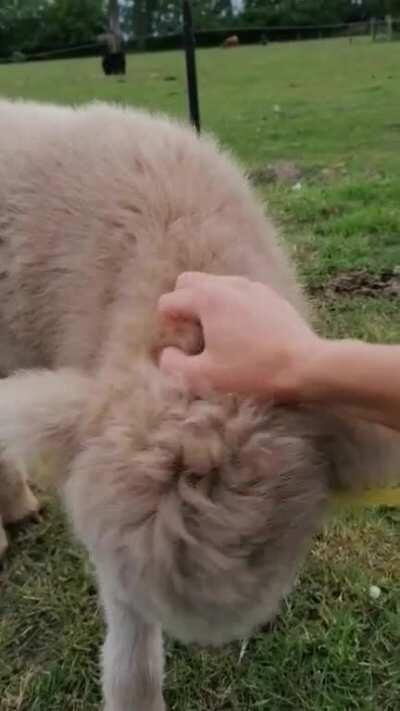 Reddit, meet Katharina! I'm bad at titles but I think she is pretty aww