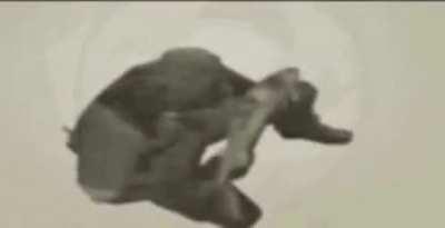 Why is Snake Eater eating a fish? Is he stupid?