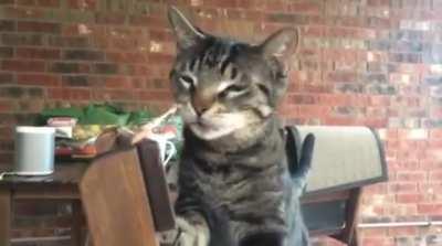 THE TABLES HAVE TURNED