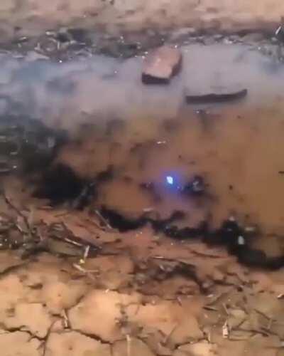 Polarization effect.