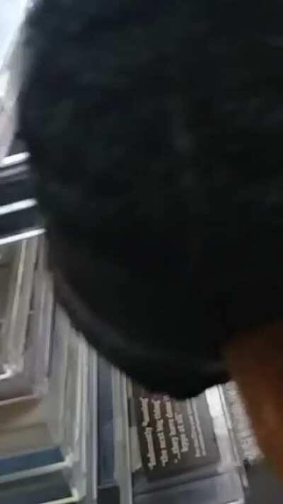 Run away little fella