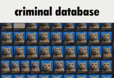 Adjsnsjqsnjwjde&rdquo;sssdfg&rdquo;ssjhxasufrh