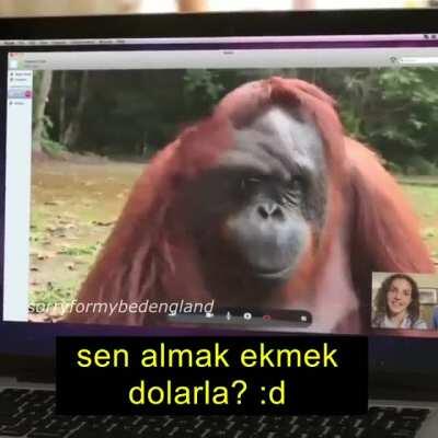 Ülke gitmek daha iyiye kıskanmak Amerika bizi