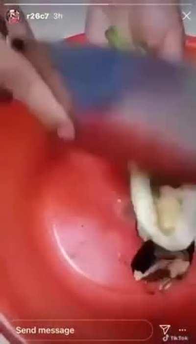 Ебаца всраца