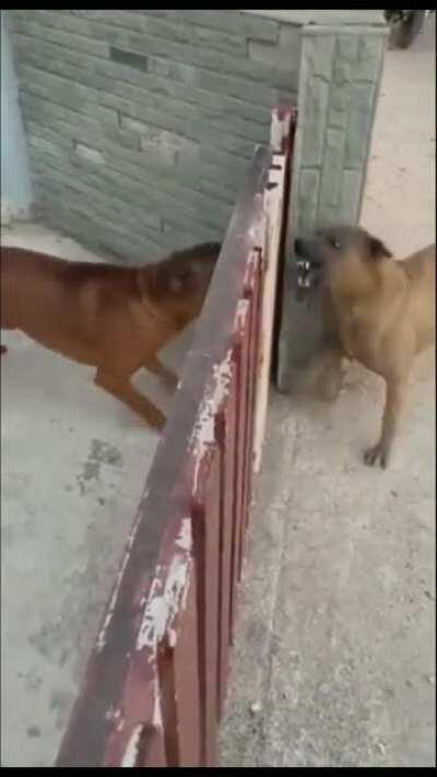 Haters online VS in real life