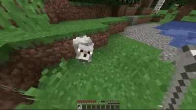 Knick knack, paddy wack