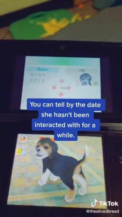 Wholesome Nintendog adoption story 🥺