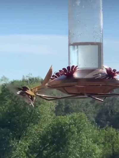 I didn’t know this was even possible until today