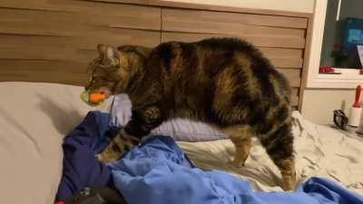 Sebastian is back at it again.