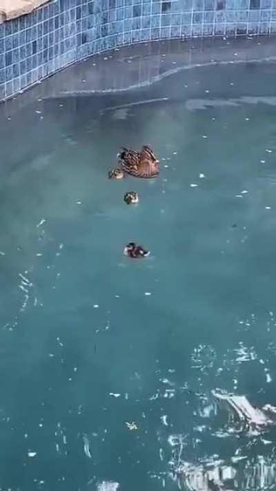 We all have that one Family Member