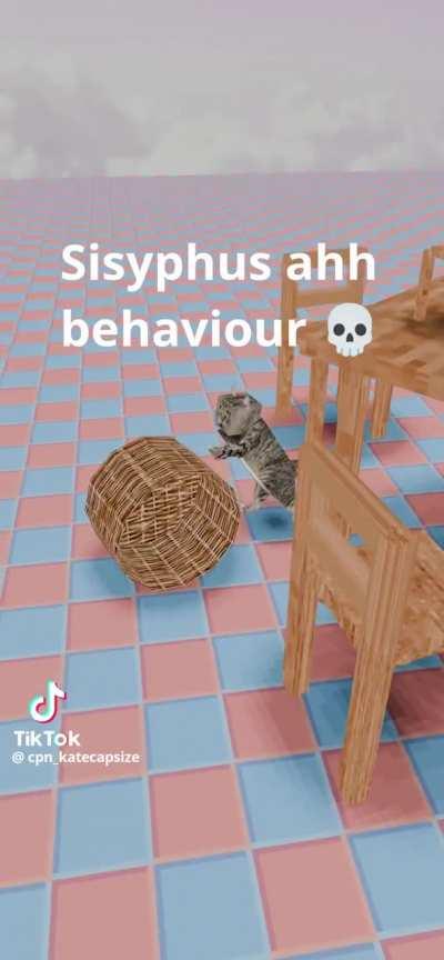 in my dream I saw my cat rolling a basket across the floor, and I took a video of it with the caption 