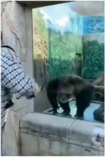 monke showing support to humans going through monke transition.