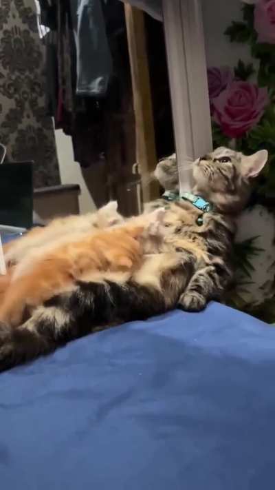 Well, what can I say😂