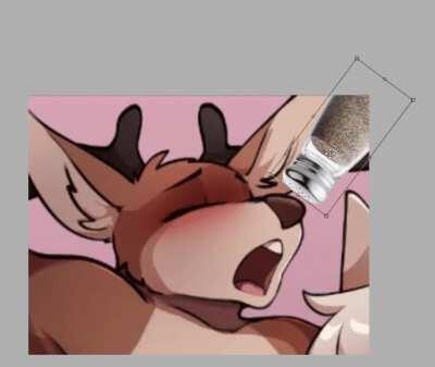 sneeze_irl
