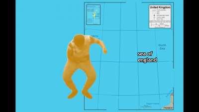 Scion During Gold Morning