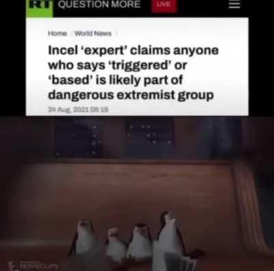 Submitted without comment...