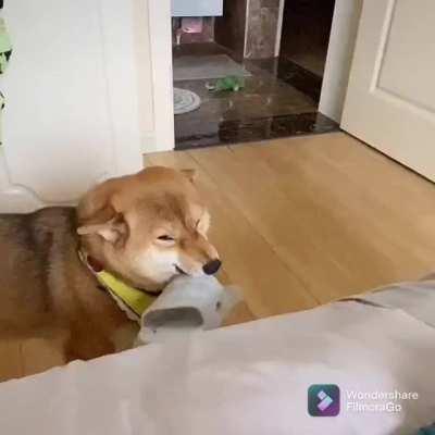 I need this kind of wake up in the morning