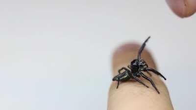 This lanky Boi really needs some upsies..