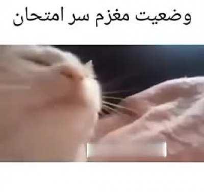 دقیقااااااا😂😂😂😂😂😂😂