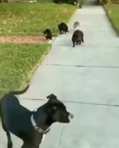 You're in a bad neighborhood