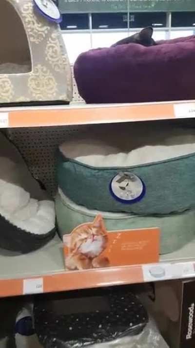 A surprise, but a welcome one