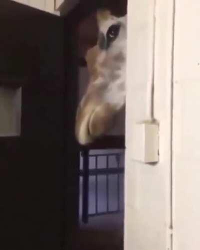 Guys I think Eda might be right