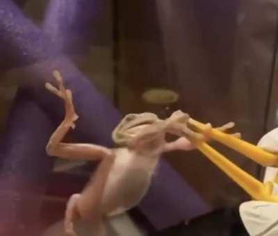 What happened to the glass??