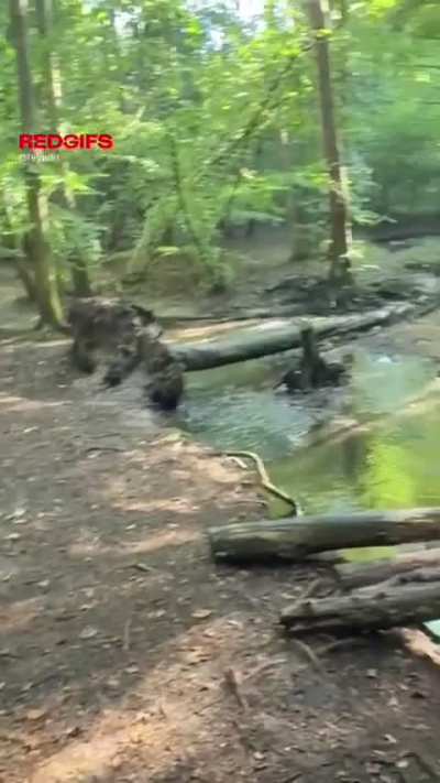 would you be willing to get your dick sucked in the nature, or are you too scared to get caught? 🤭