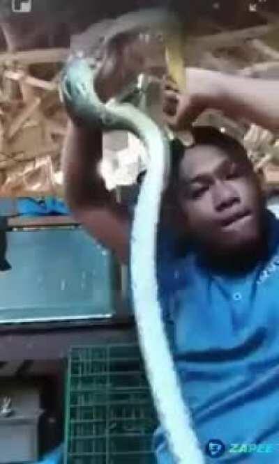 WCGW with teasing the snake in your hands