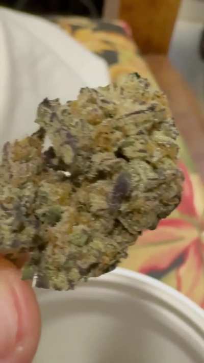 Sleppery Susan e Planet Sherb (Liga Canábica)