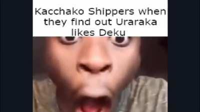 The Many Shippers of MHA