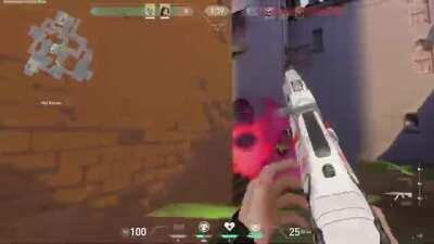 Making sage an aggressive agent.