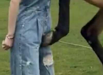 WCGW when petting a horse from behind.