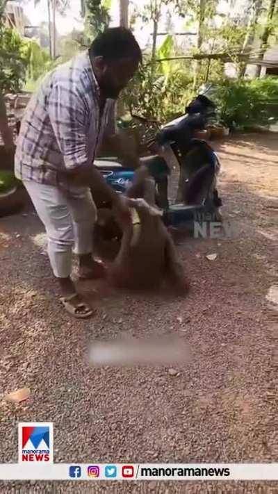 I am not against his right to criticize the government ,but this is child abuse 