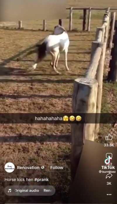 Dex build playthrough